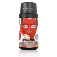 Antioxidant mask kit